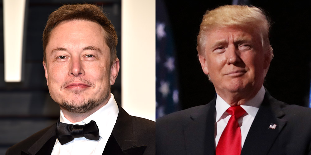Trump Declares Support for Musk, Promises to Purchase Tesla
